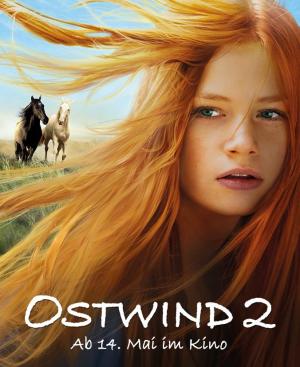 Windstorm 2 [Russian]