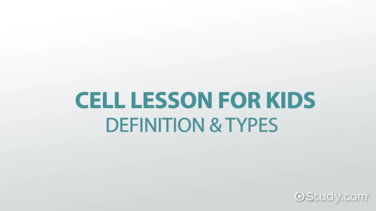 Cell Lesson for Kids: Definition & Types