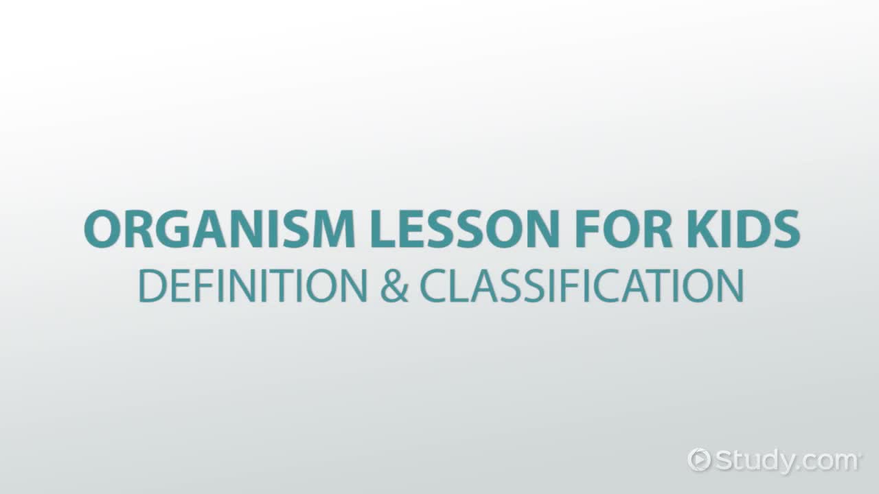 Organism Lesson for Kids: Definition & Classification