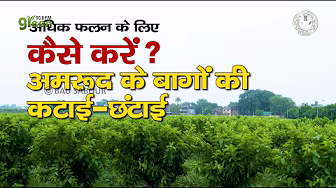 Horticulture || बागवानी