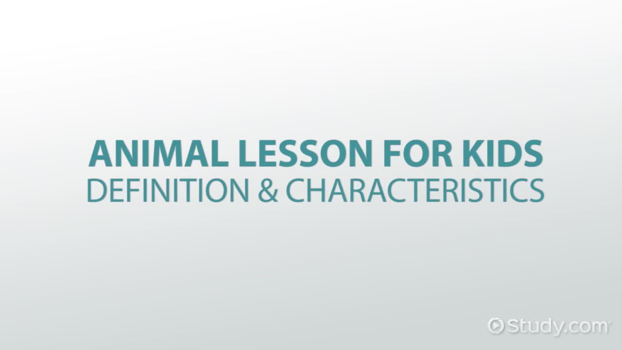 Animal Lesson for Kids: Definition & Characteristics