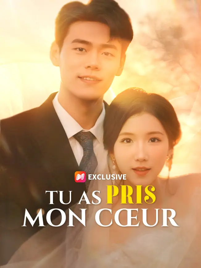 TU AS PRIS MON CŒUR poster
