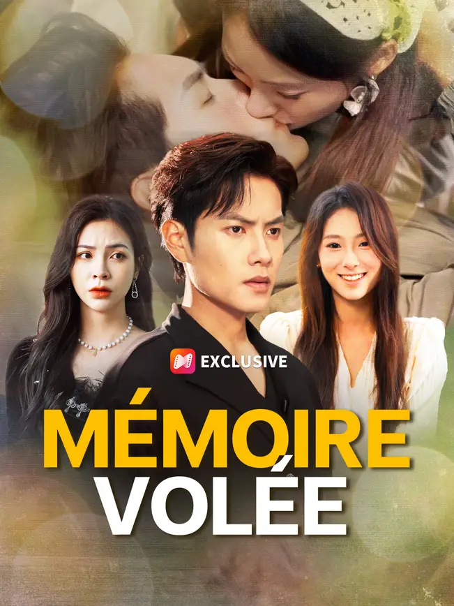 MÉMOIRE VOLÉE poster