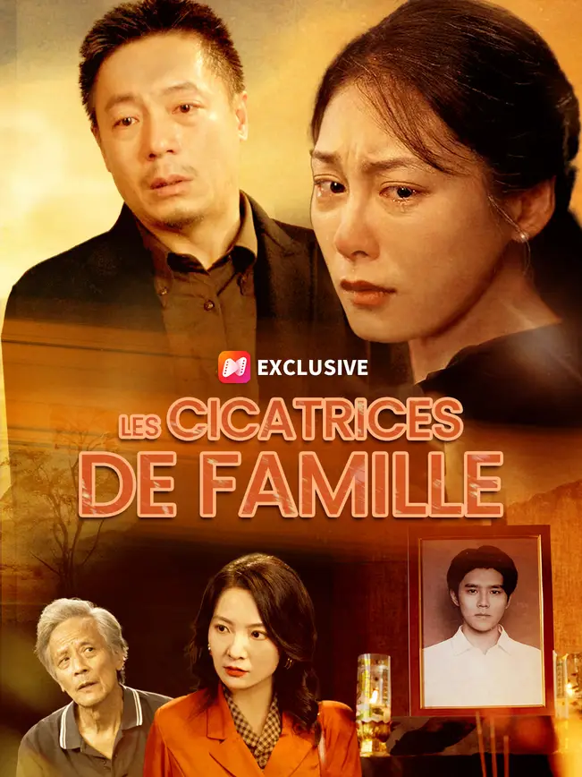 LES CICATRICES DE FAMILLE poster