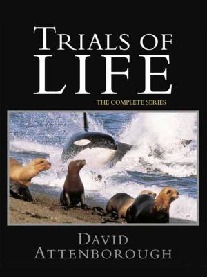 The Trials of Life [Russian]