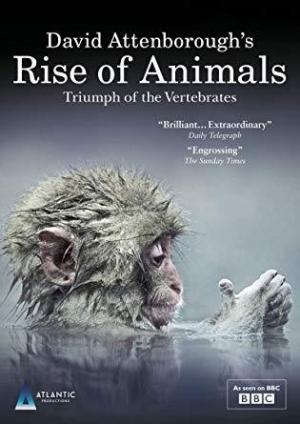Rise of Animals: Triumph of the Vertebrates [Russian]