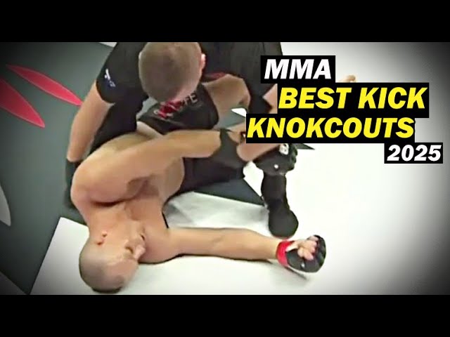 BEST MMA KICK KNOCKOUTS Compilation 2025 background