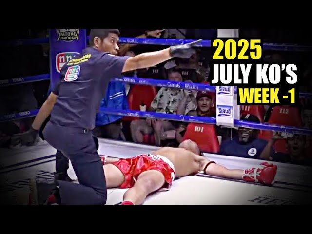 MMA & Boxing Knockouts I July 2025 Week 1