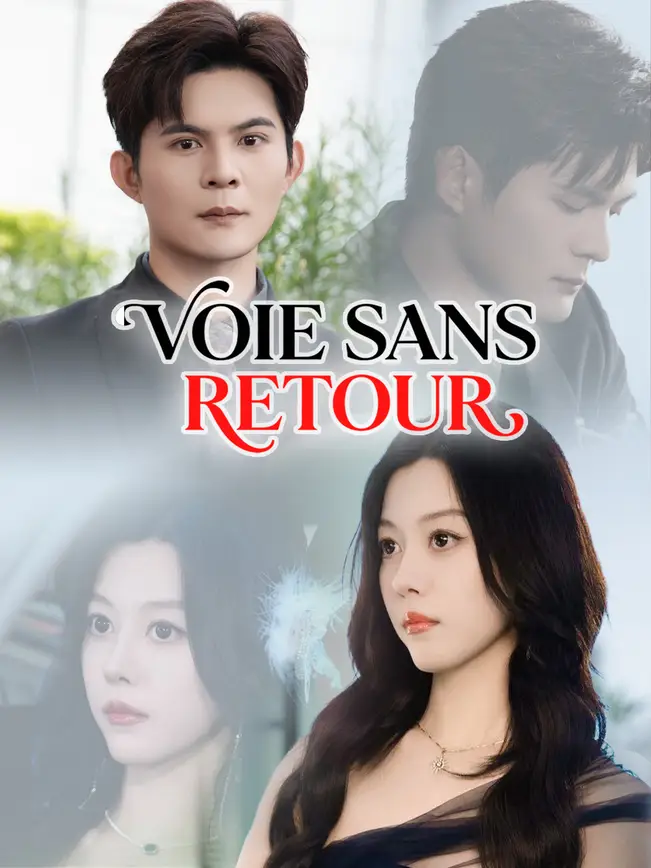 VOIE SANS RETOUR poster