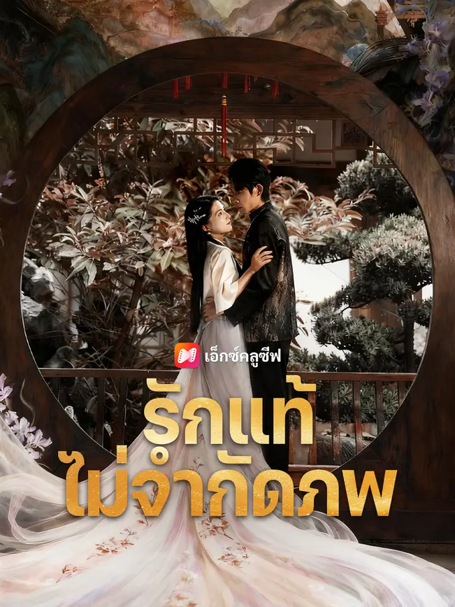 รักแท้ไม่จำกัดภพ poster