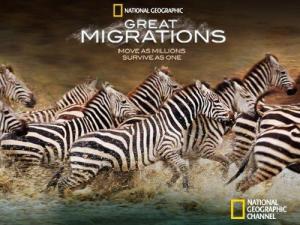 Great Migrations [Russian]