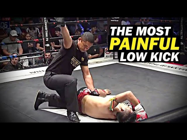 Some of the Most Painful MMA Low Kick ! backdrop