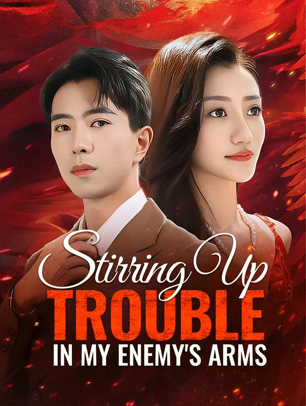 Stirring Up Trouble in My Enemy's Arms poster