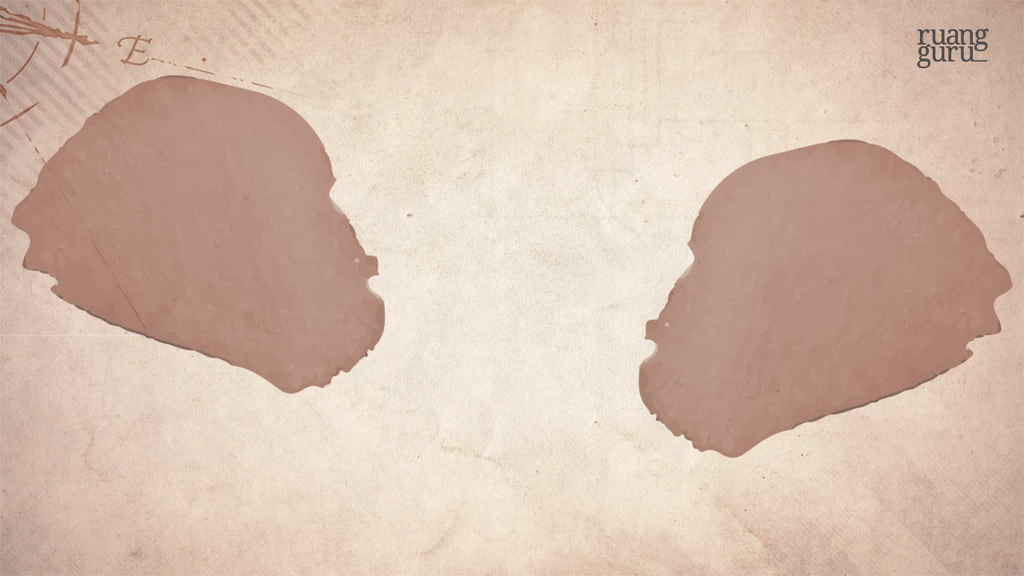 Grade 11 History Specialization