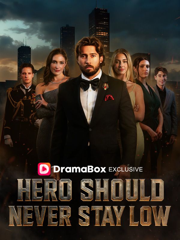 Hero Should Never Stay Low poster