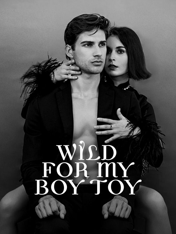 Wild for My Boy Toy poster