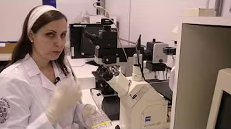 Células do olho são capazes de regenerar a retina