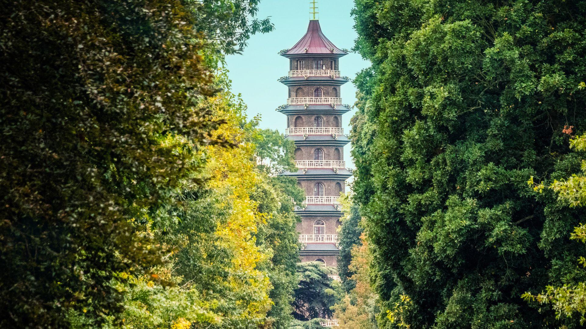 Kew Gardens: A Year in Bloom - like Pride but newer