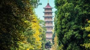 Kew Gardens: A Year in Bloom S1-S2