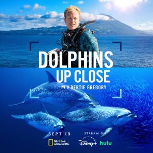 Dolphins Up Close with Bertie Gregory [Spanish]