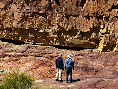 actor Steve A. Austin large photo