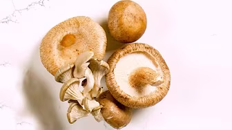 Mushrooms in the Plant-Forward Kitchen