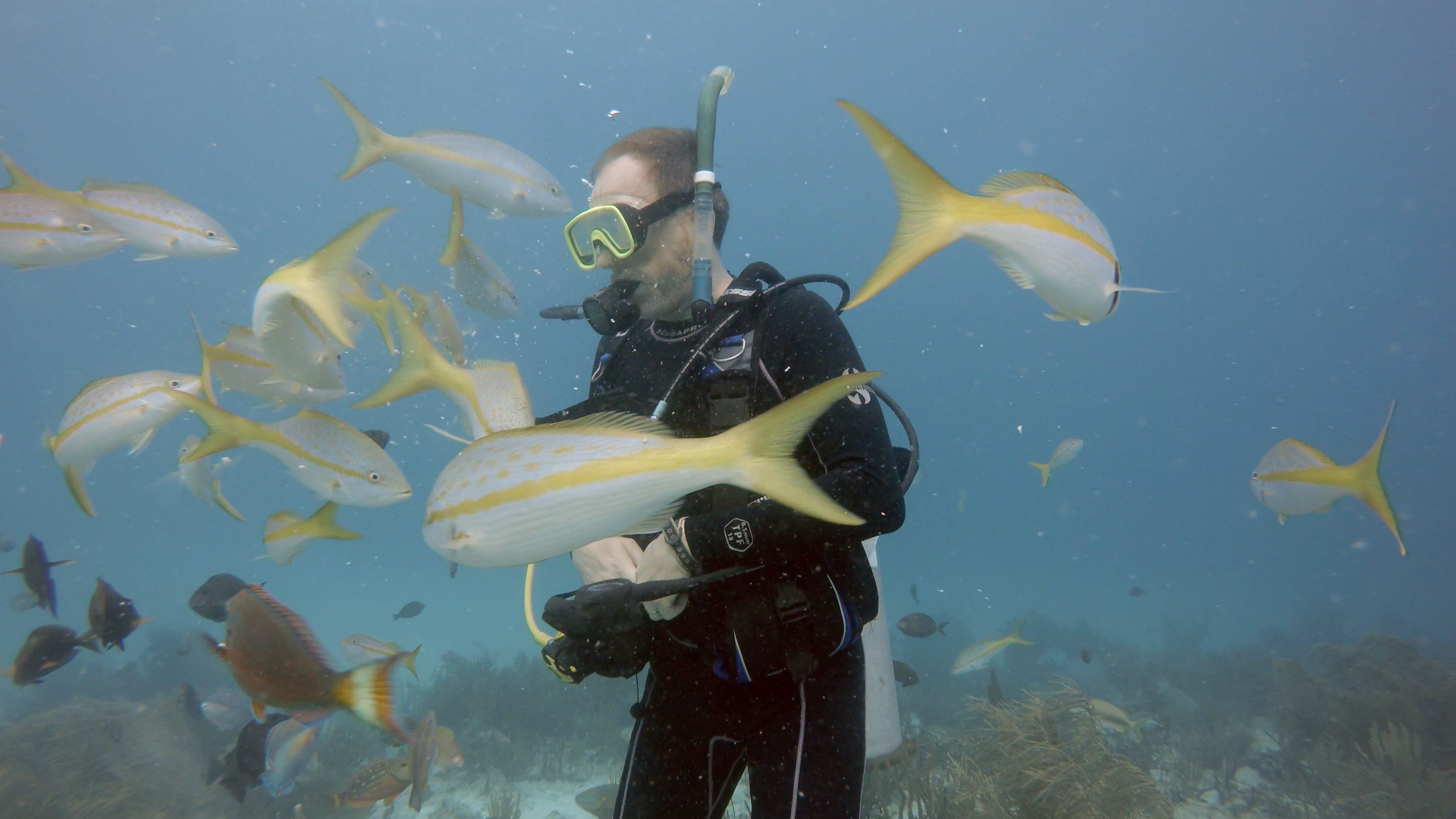 actor Robert Carter large photo