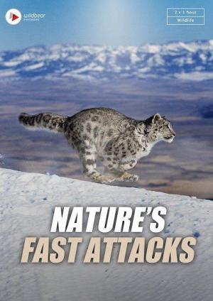 Nature's Fast Attacks