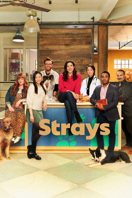 Strays S1