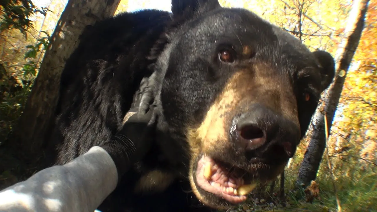 Joji - Past Won't Leave My Bed (Official Video)