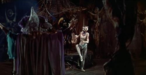 CinemaScope Specials (Second Series) (#14): The Sorcerer's Apprentice (1955) | Watch on Movi47