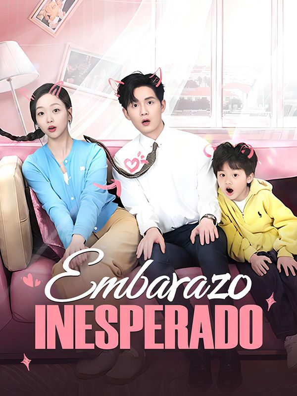 Embarazo Inesperado(Doblado) poster