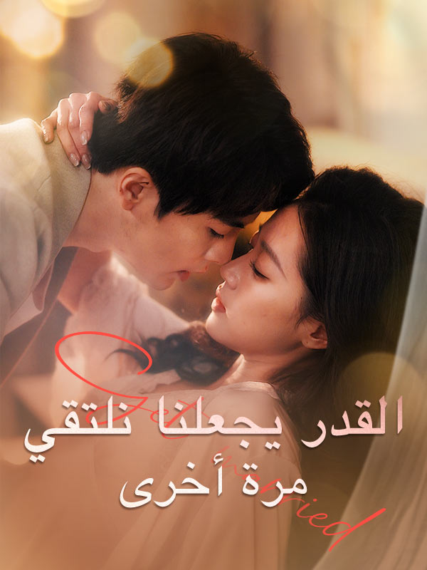 القدر يجعلنا نلتقي مرة أخرى poster