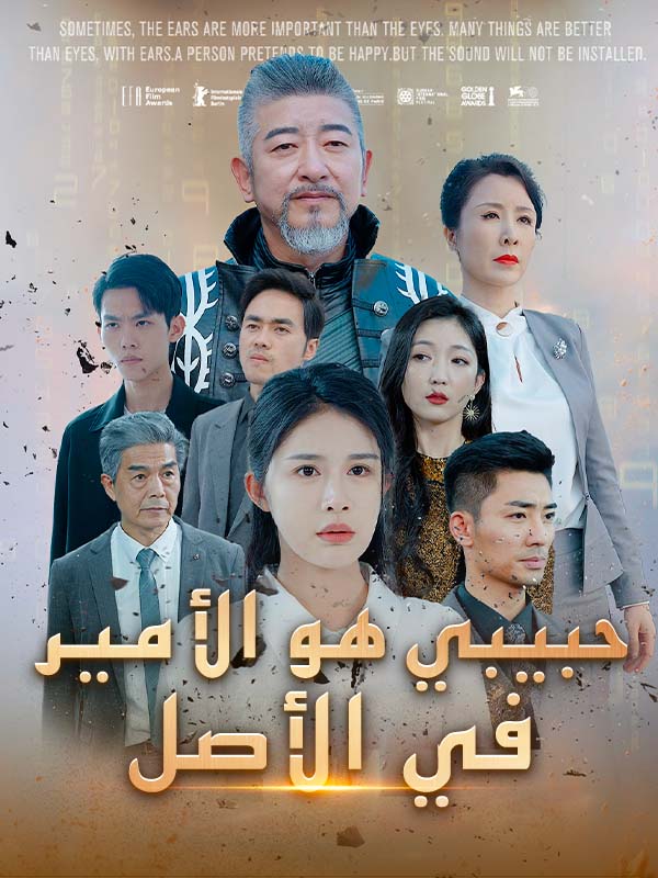 حبيبي هو الأمير في الأصل poster