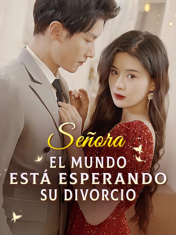 Señora, El Mundo Está Esperando Su Divorcio poster