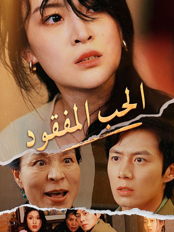 الحب المفقود poster