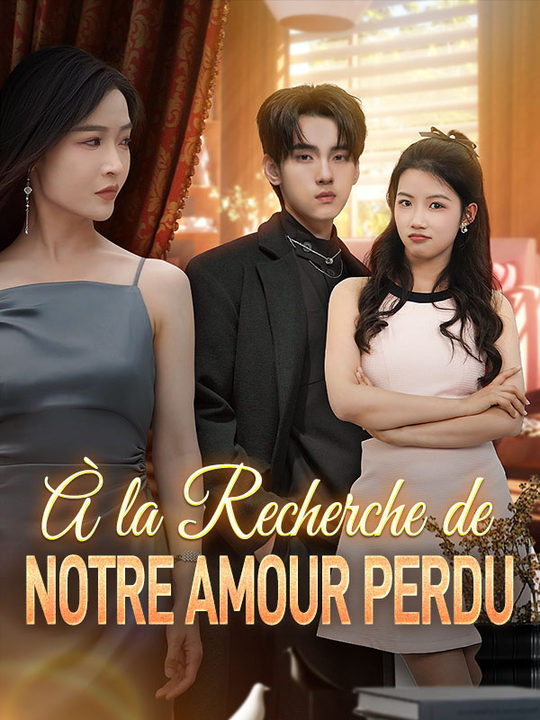 À la Recherche de Notre Amour Perdu poster