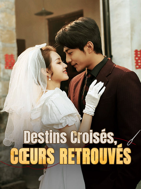 Destins Croisés, Cœurs Retrouvés poster