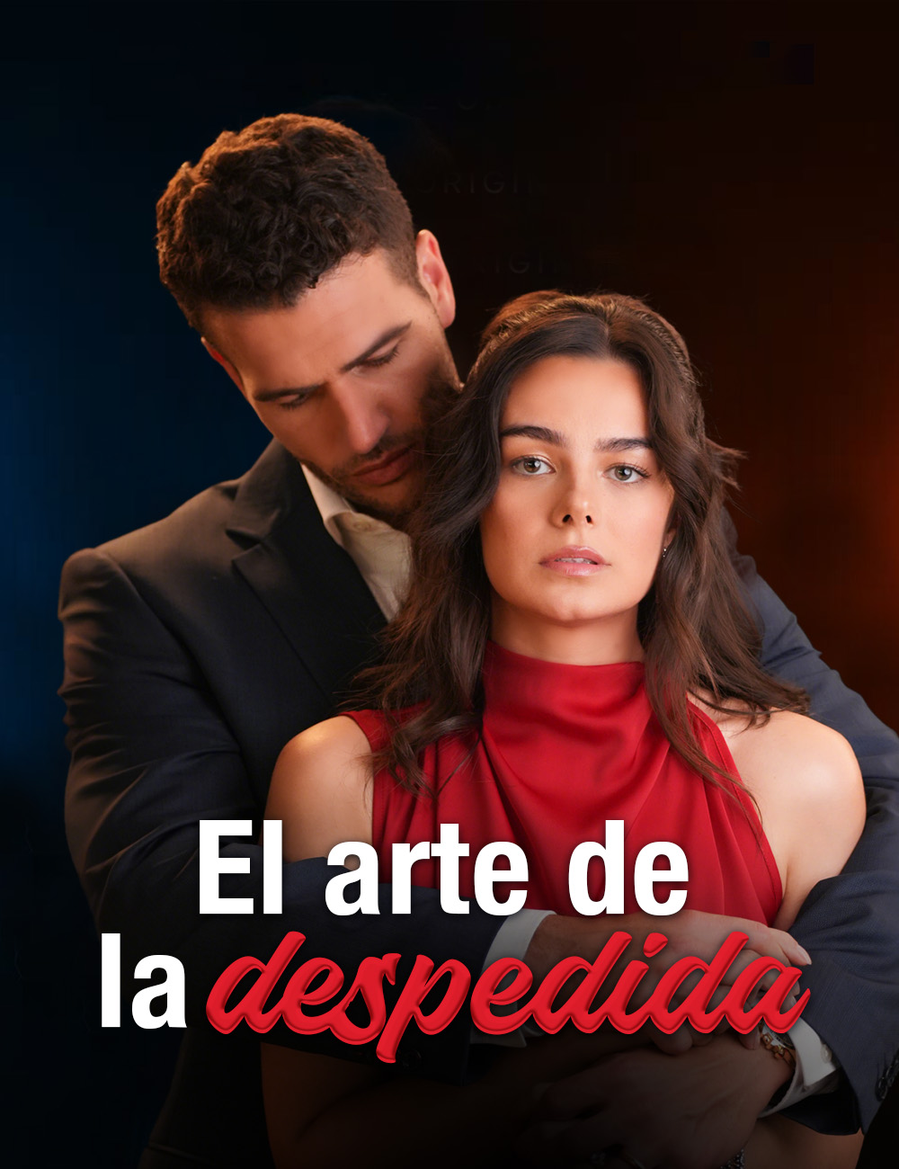 El arte de la despedida(Doblado) poster