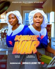 DOMESTIC WAR