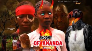 AGONY OF AMANDA