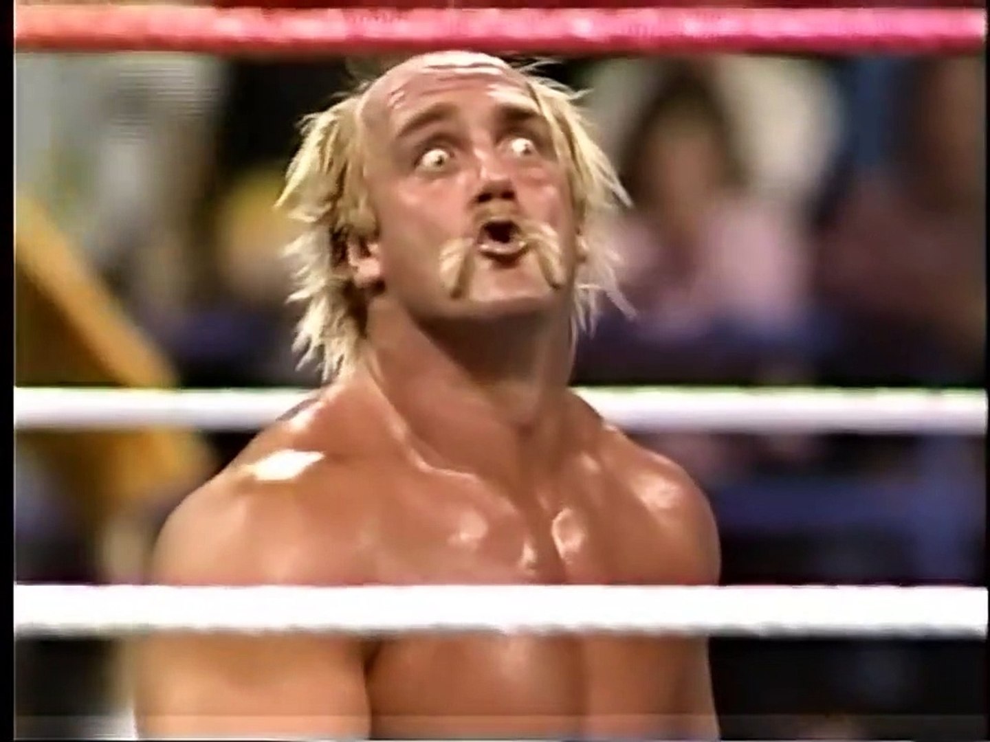 Hulk Hogan Tribute Video (Earthquke injures Hogan on the Brother Love Show) background