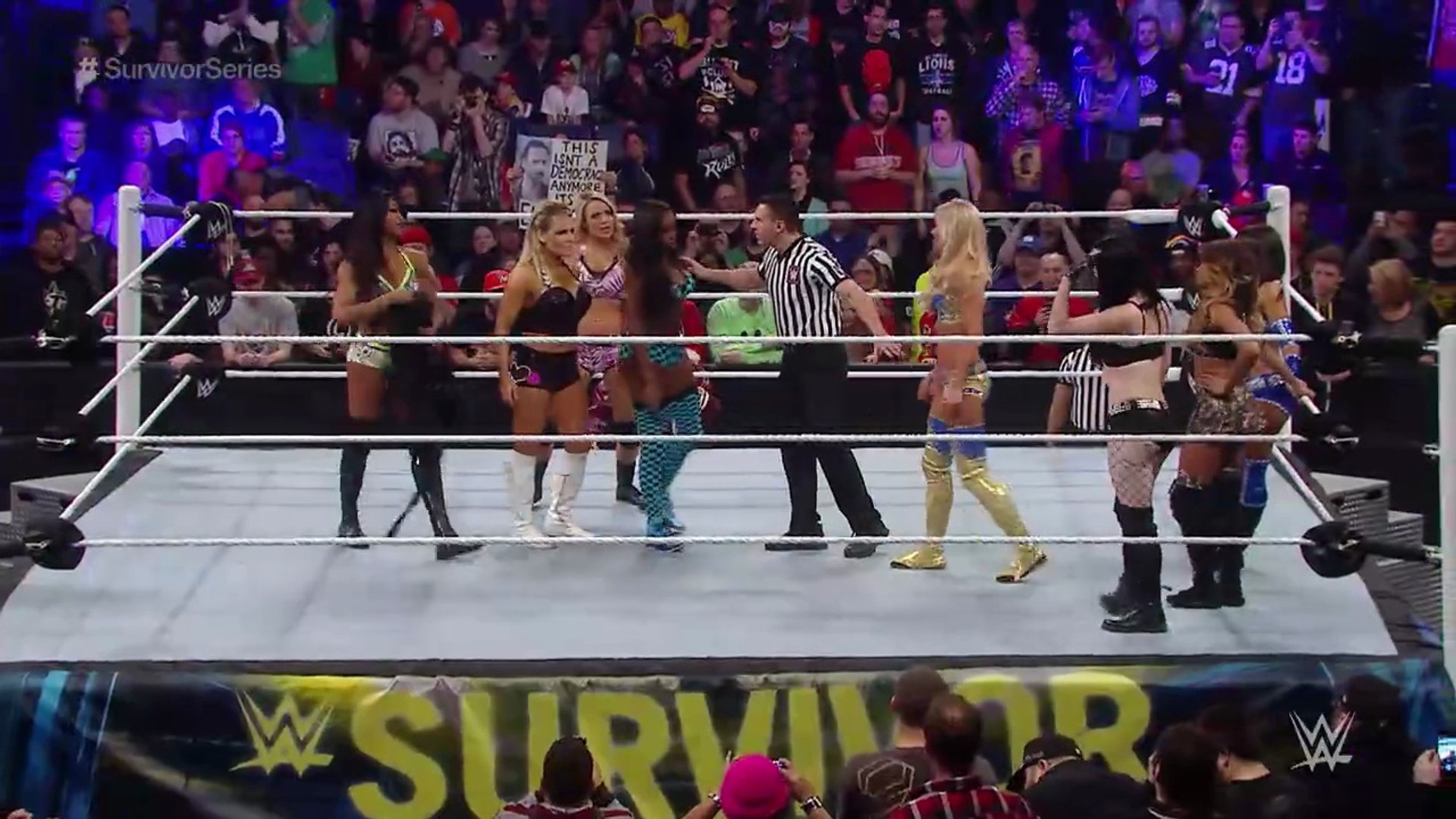 FULL MATCH - Natalya, Alicia Fox, Emma & Naomi vs. Paige, Cameron, Layla & Summer Rae - 4-on-4 Survivor Series Elimination Match - Survivor Series 2014 background
