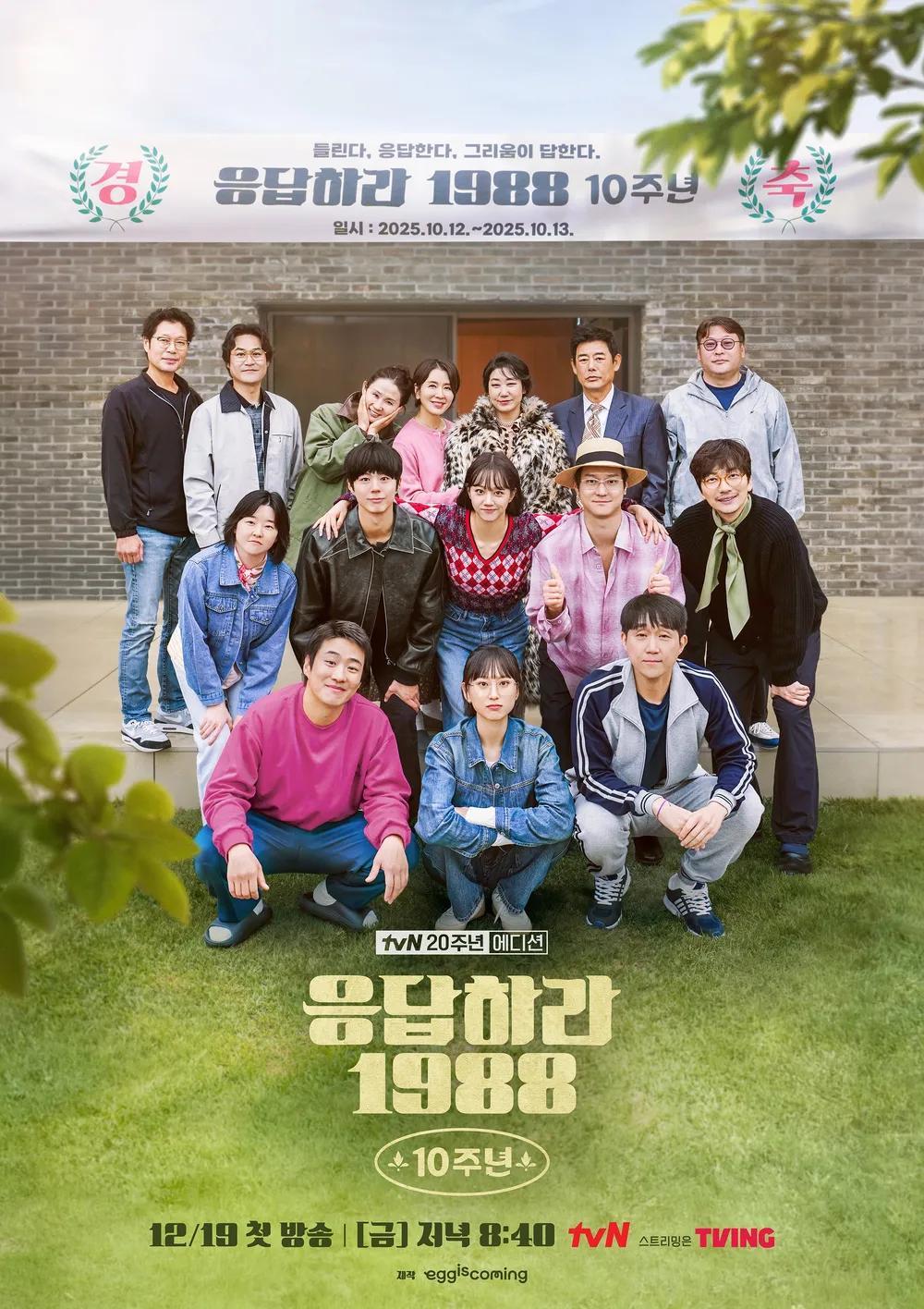 Poster for Reply 1988 10th Anniversary