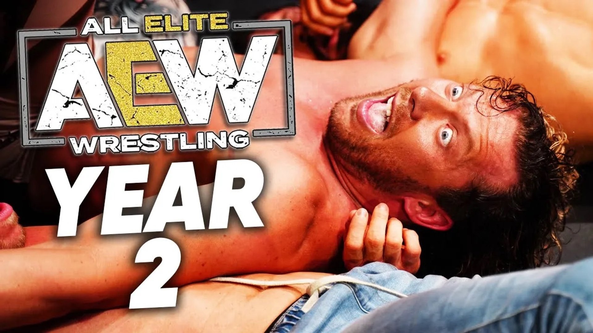 10 Best AEW Wrestling Matches: Year 2 background