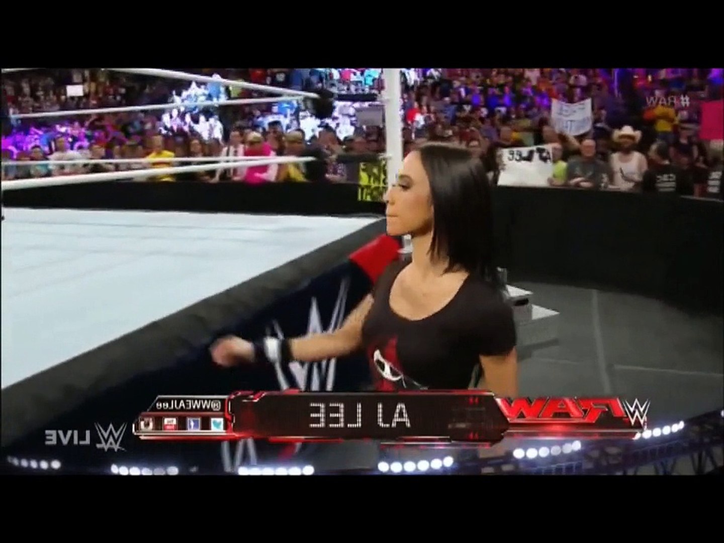 AJ Lee vs Nikki Bella backdrop