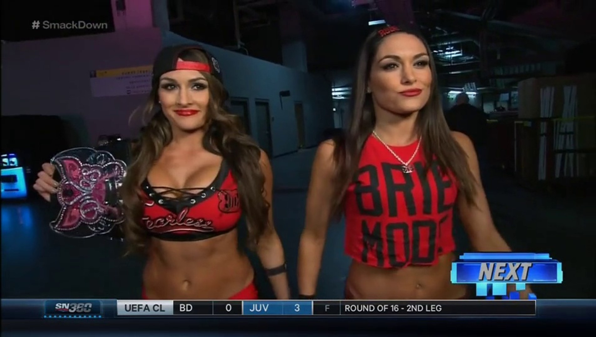 Paige vs Brie Bella background