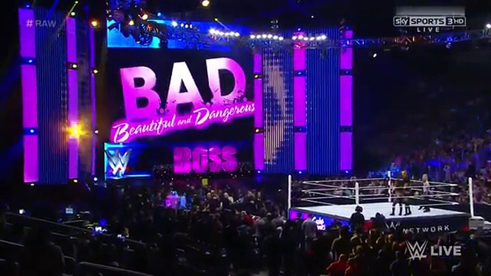 Brie Bella Vs Sasha Banks