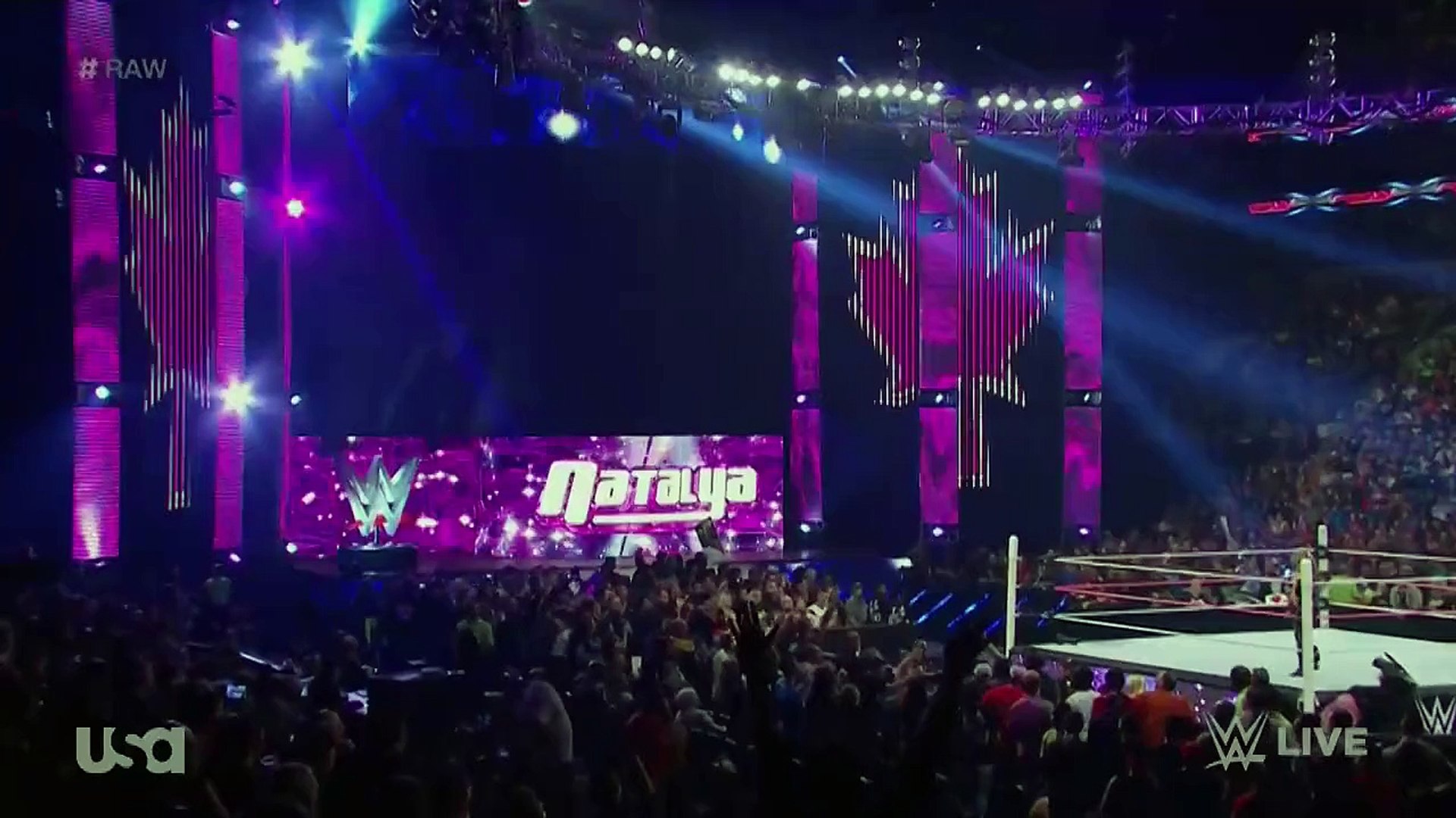 Natalya vs Paige