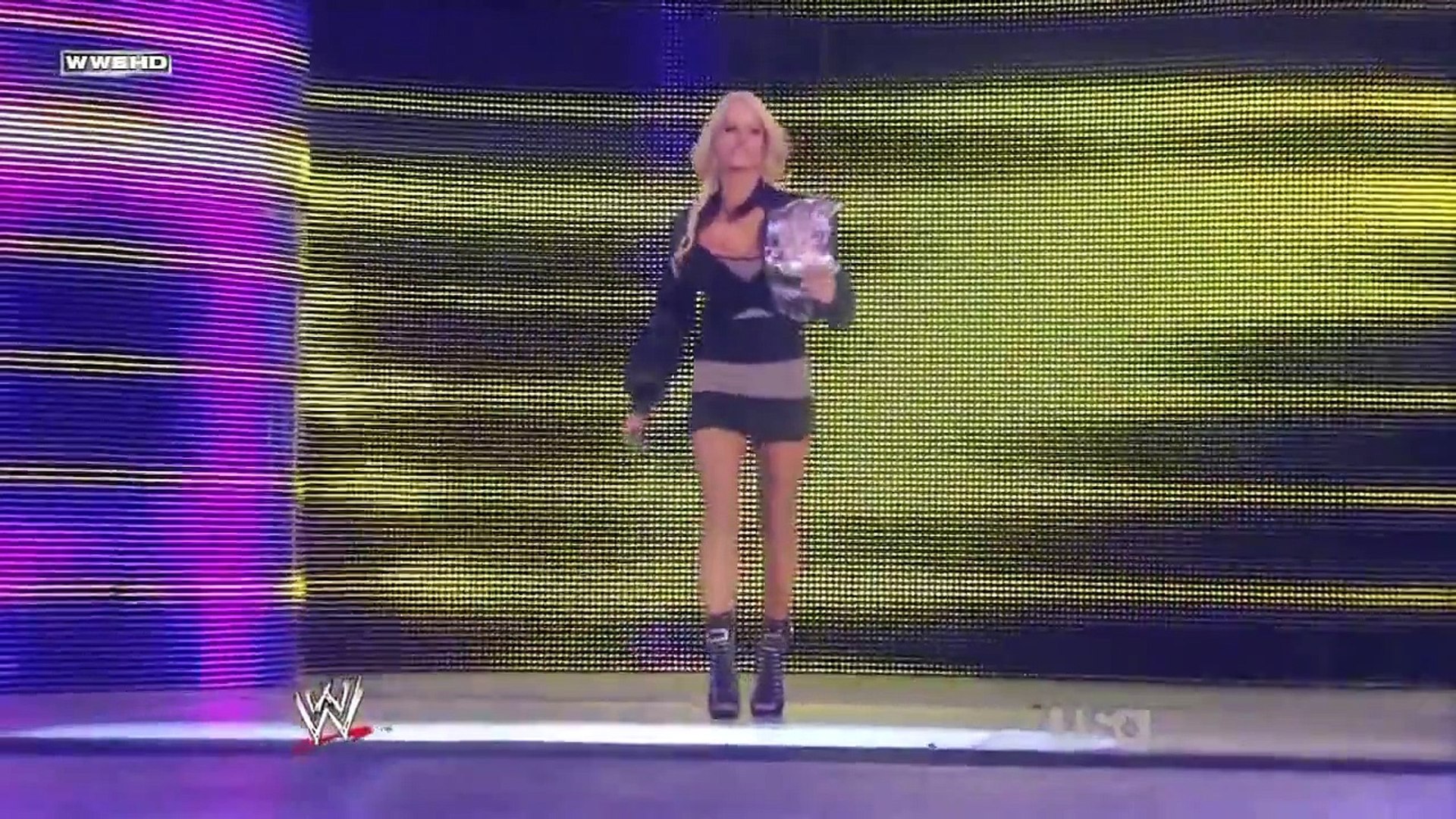 Kelly Kelly vs Mickie James vs Beth Phoenix vs Rosa Mendes background